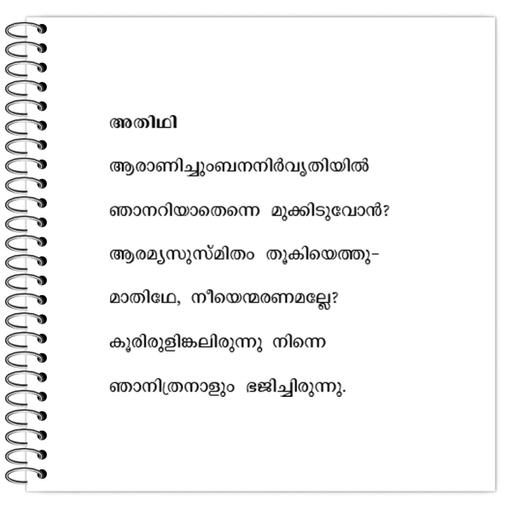 Picture of the product