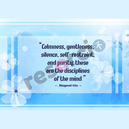 Picture of the product