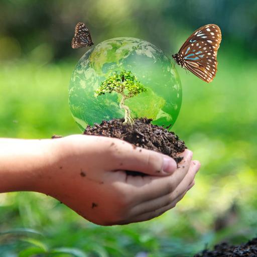 Picture of the product