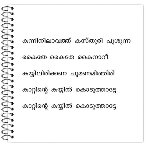 Picture of the product