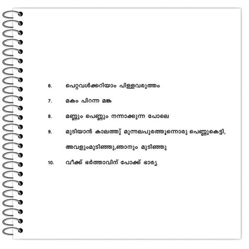 Picture of the product