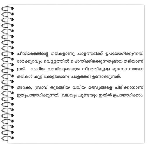 Picture of the product