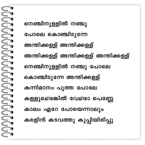 Picture of the product