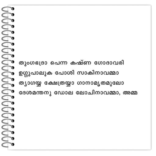 Picture of the product