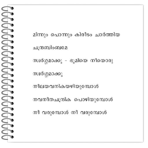 Picture of the product