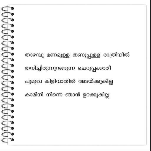 Picture of the product