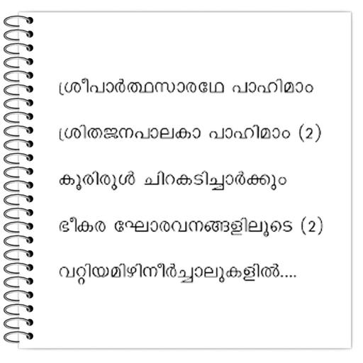 Picture of the product