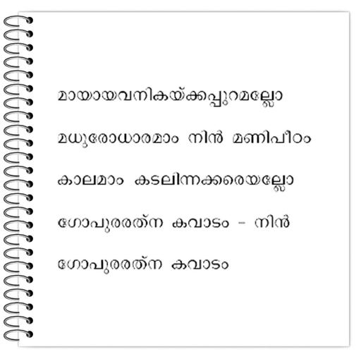 Picture of the product