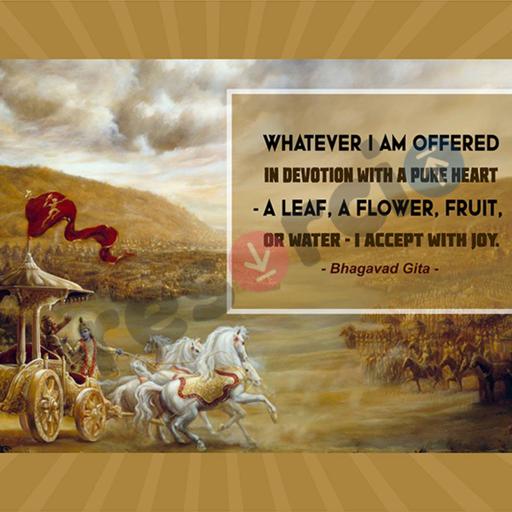 Picture of the product