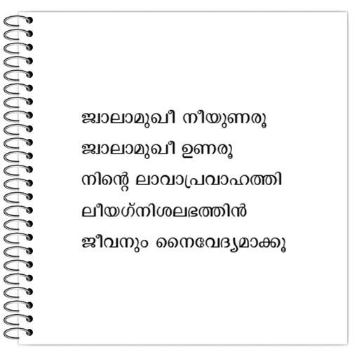 Picture of the product