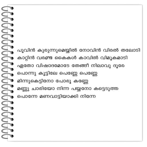 Picture of the product