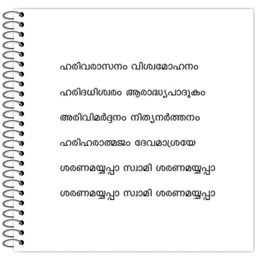 Picture of the product