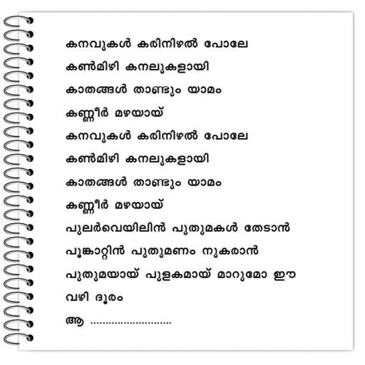 Picture of the product