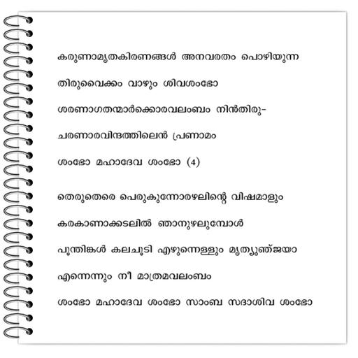 Picture of the product