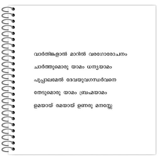 Picture of the product