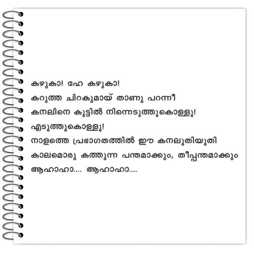 Picture of the product