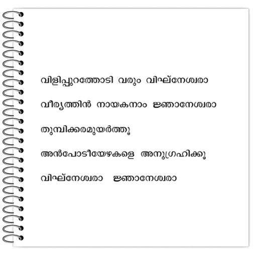 Picture of the product