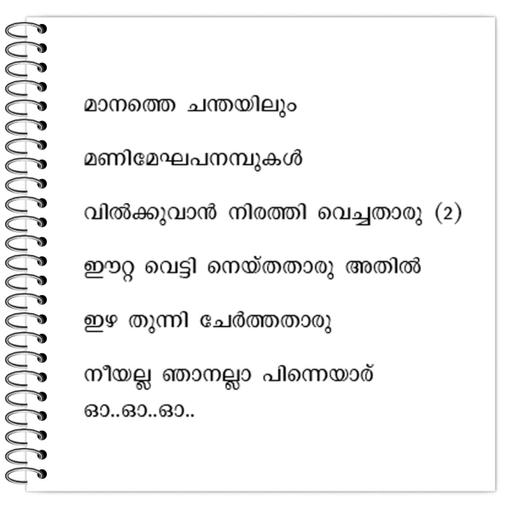 Picture of the product