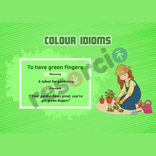 Picture of the product