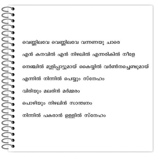 Picture of the product