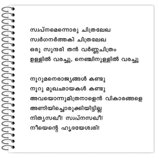 Picture of the product