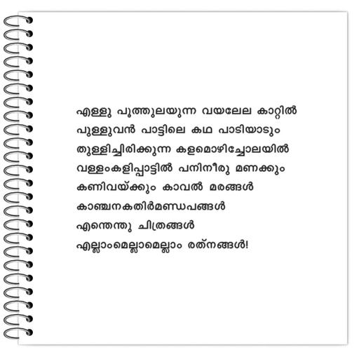 Picture of the product