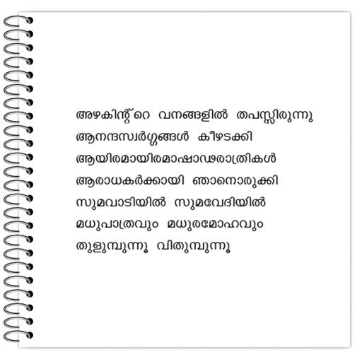 Picture of the product