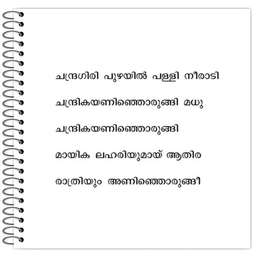 Picture of the product