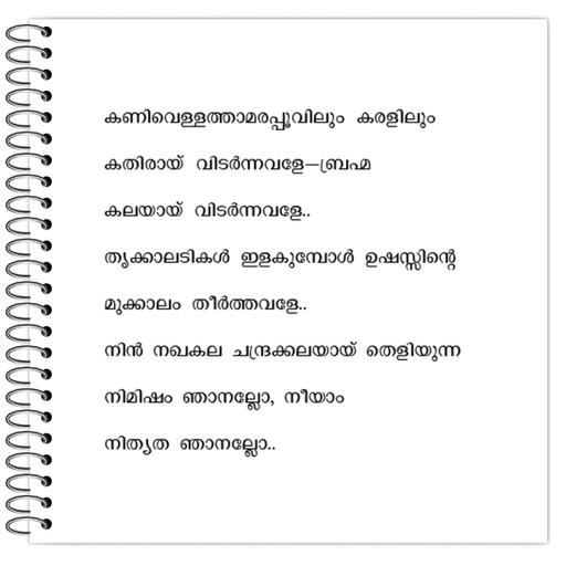 Picture of the product