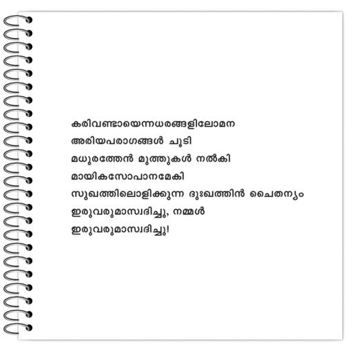 Picture of the product