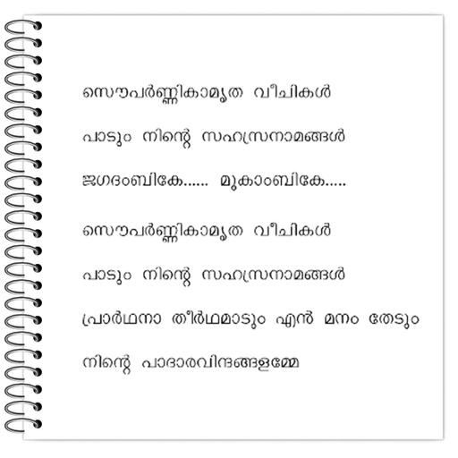 Picture of the product