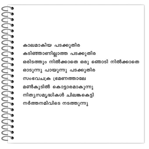 Picture of the product