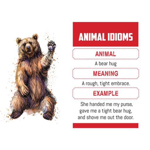 Picture of the product