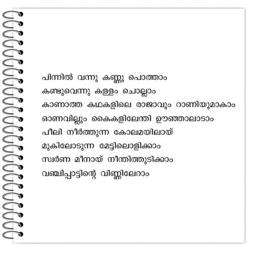 Picture of the product