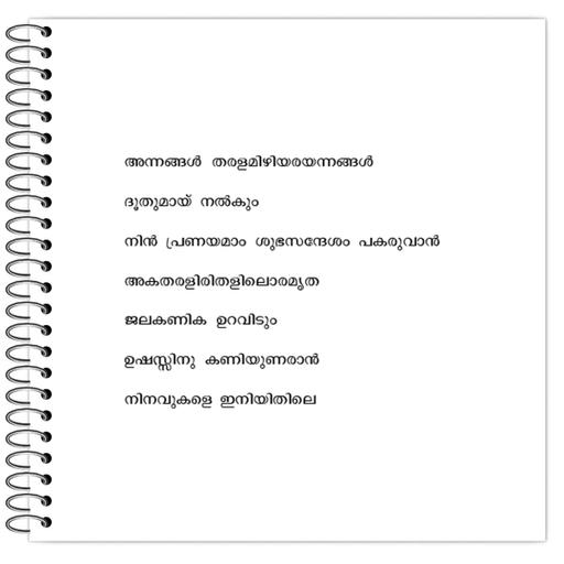 Picture of the product