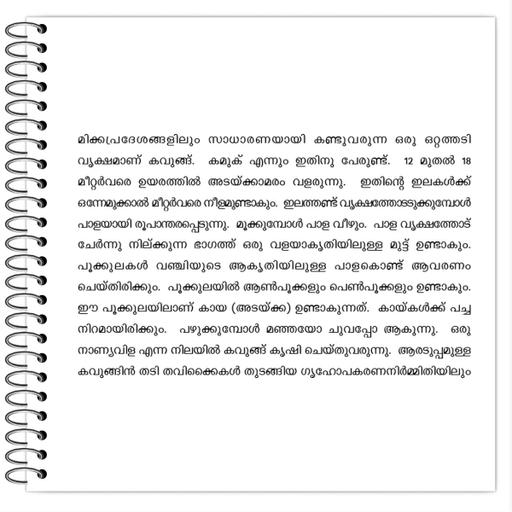 Picture of the product