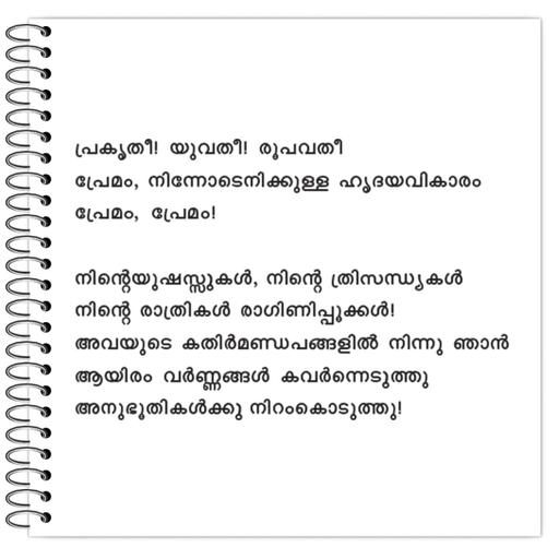 Picture of the product