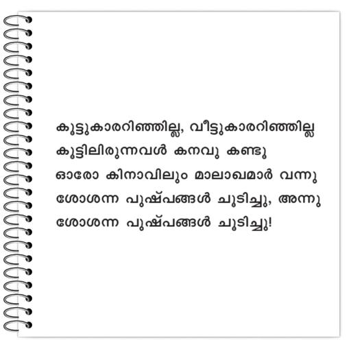 Picture of the product