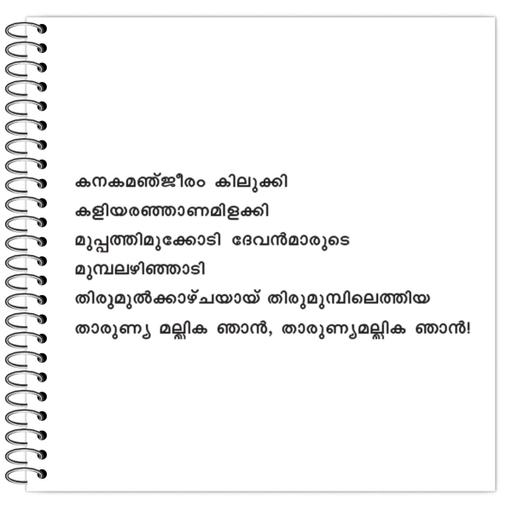 Picture of the product