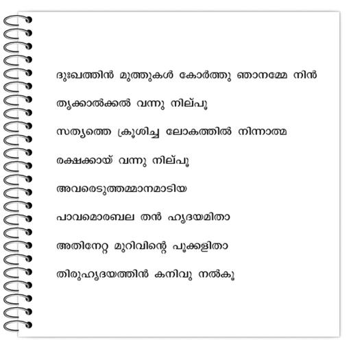 Picture of the product