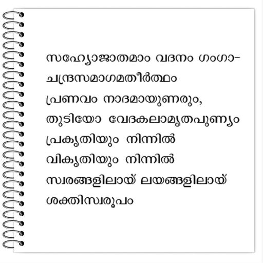 Picture of the product