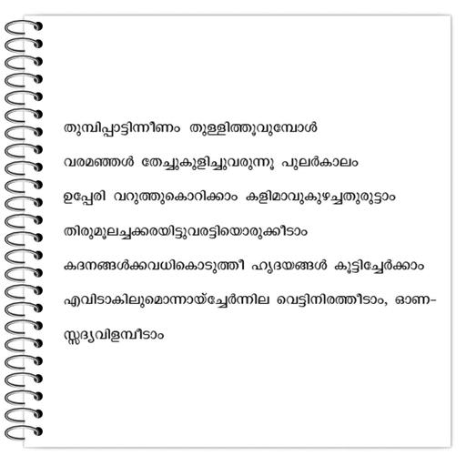 Picture of the product