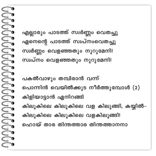 Picture of the product