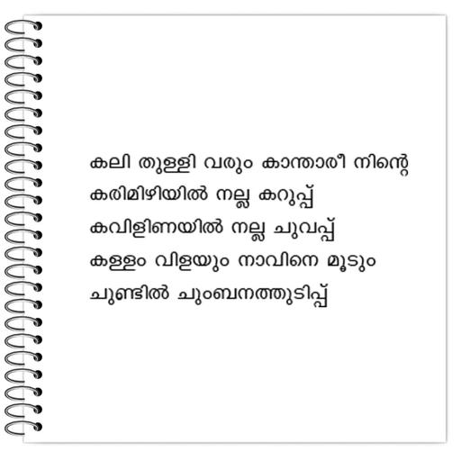 Picture of the product