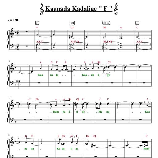 Picture of the product