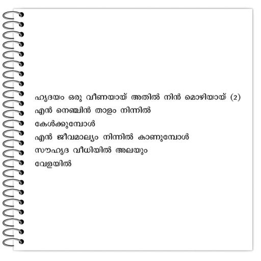 Picture of the product