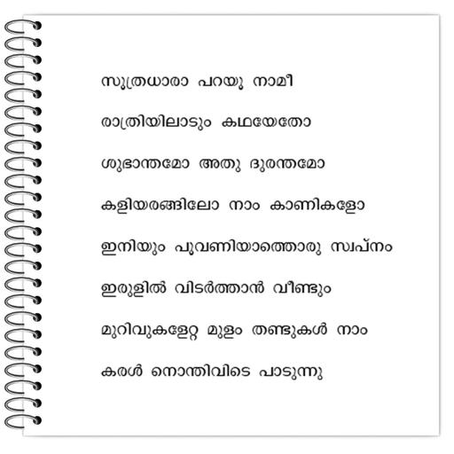 Picture of the product