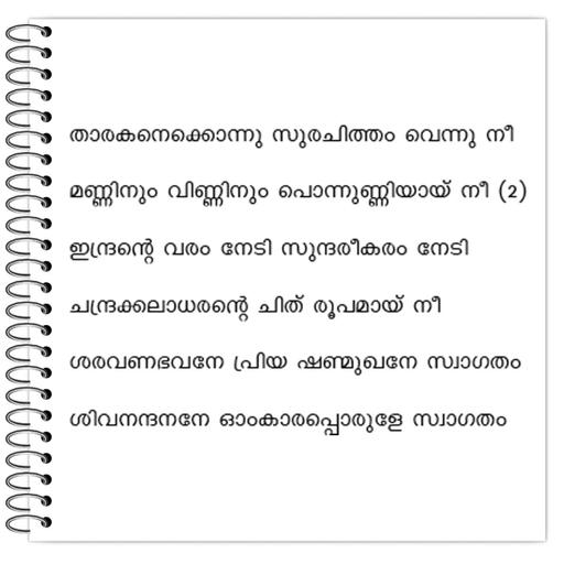 Picture of the product