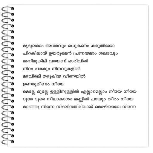 Picture of the product