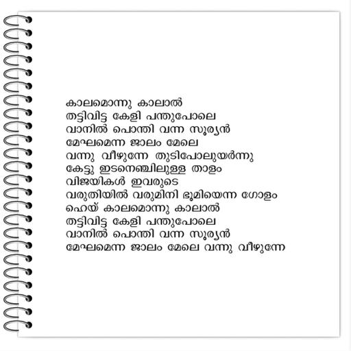 Picture of the product